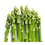  спаржа ... Dell che земля . рассада 3 АО ( поступление предположительно :2025 год 11 месяц последняя декада примерно )
