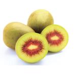  киви фрукты Rainbow красный (R) контактный дерево рассада 1 шт. ( поступление предположительно :2025 год 11 месяц последняя декада примерно )