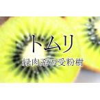 キウイフルーツ　トリム　緑肉系用