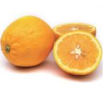  лимон сладкий remone-do контактный дерево pot рассада 1 шт. ( поступление предположительно :2025 год 11 месяц примерно )