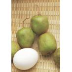  большой реальный обезьяна нет Phantom 4.5 номер 1 шт. ( поступление предположительно :2025 год 11 месяц последняя декада примерно )