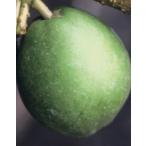  белый sapote расческа o5 номер pot .. 1 шт. ( прием заказа departure примечание )