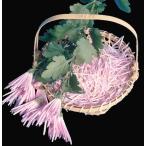  еда для . having. другой 2 номер pot 2 АО ( наличие распродажа )