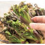  натуральный женщина dala. дерево 4 номер 1 шт. ( поступление предположительно :2025 год 10 месяц примерно ..)