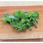 takano ушко pot рассада 1 шт. ( поступление предположительно :2025 год 10 месяц примерно ..)