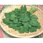 a внизу ba pot рассада 2 АО ( поступление предположительно :2025 год 10 месяц примерно ..)