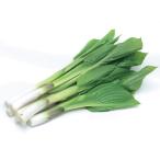  jumbo u Louis небо дракон 3.5 номер 1 АО ( поступление предположительно :2025 год 10 месяц примерно ..)