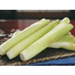 ma Como dake4 номер 1 АО ( поступление предположительно :2025 год 10 месяц примерно ..)