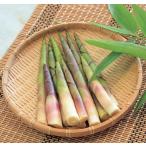 nema канава take3.5 номер 1 АО ( поступление предположительно :2025 год 10 месяц примерно ..)