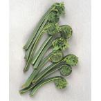 ko мусор 3.5 номер 1 АО ( поступление предположительно :2025 год 10 месяц примерно ..)