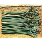 walabi3.5 номер 1 АО ( поступление предположительно :2025 год 10 месяц примерно ..)