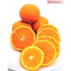  can kitsu. древесный уголь (PVP) контактный дерево рассада 1 шт. ( поступление предположительно :2025 год 11 месяц примерно )