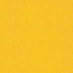 liki Tec s постоянный lliki Tec s желтый 0051 20ml камера 