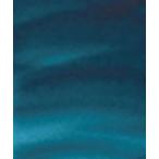 アクアグリーン 697 2号5ml W&N水彩絵具