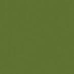 .(.. стул ) 5 номер 15ml ho ru Bay n не прозрачный акварель краситель Япония цвет 