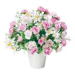  Mother's Day flower . present gift 2024 health bundle pot fee excepting practical set light. comfort . small Angel 339K35