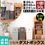 ショッピングダストボックス ゴミ箱 ダストボックス 30L おしゃれ 分別 スリム 蓋付