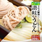 麺類 讃岐うどん 半生麺300ｇ 蕎麦300