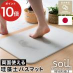 soil BATH MAT light ソイル バスマット ライト リバーシブル 珪藻土 両面 自然素材