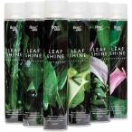  leaf автомобиль in 750ml fleur.amif правило ami декоративное растение лист поверхность мойка декоративное растение блеск .. садоводство сопутствующие товары моющее средство блеск .. глянец лист поверхность моющее средство декоративное растение блеск .. спрей 