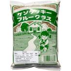 西洋芝の種(ケンタッキーブルーグラス) 250g 20〜30平方メートル用