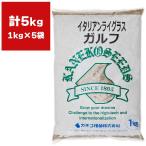  итальянский lai стакан Gulf 5kg (1kg×5 пакет )ka кошка вид рассада трава вид трава семена трава. вид заливное рисовое поле обратная сторона произведение трава вид заливное рисовое поле преобразование поле трава вид сидераты семена сидераты вид сидераты семена 
