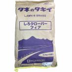 shi. clover fia20kg(0.5kg×40 пакет )takii вид рассада сидераты вид сидераты семена городской пейзаж сидераты вид белый clover вид белый clover семена трава вид трава семена 