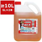 ショッピング除草剤 まとめ買い 2本入 グリホエースPRO 5L ハート 農薬登録品 グリホサート液剤 根まで枯らす除草剤 原液タイプ ササ つる スギナ 除草 雑草対策 雑草退治 除草剤