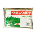 トールフェスク スパイダーLS 1kg タキイ種苗 タネのタキイ 芝種