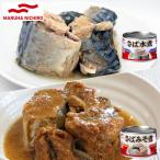 マルハニチロ 鯖缶詰 24缶セット みそ煮×24缶 水煮×24缶