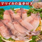  Hakodate структура . подлинный кальмар ( тихоокеанский кальмар ) открытие высушенный 2 пакет комплект matsu кальмар. соль . имеется 