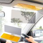 カーバイザー24 1個