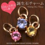 誕生石 チャーム シルバー925 (SV925) オリジナル ネックレス にできる 天然石 バースデー アクセサリー