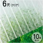  волна доска поли kana miita Cross линия листовая сталь маленький волна (32 волна ) 6 сяку 1820×655mm прозрачный (630) прозрачный 10 шт. комплект JIS стандарт товар taki long кровельный материал [ юридическое лицо только ]