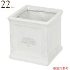 プランター 植木鉢 おしゃれ 鉢植え 四角 スクエアポットフォレスト 6号ポット white ホワイト 白 横22×奥行22×高さ22 鉢 底穴あり 鉢