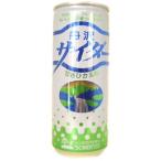 丹沢サイダー 250ml｜創健社