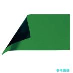 (シンワ) 72045 マグシートA-緑 【1個】