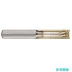 (GUHRING) 4001 10.000 高能率スレッドミーリングカッタ メートル並目ねじ M10