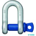 OH SC-32T 鍛造シャックル 使用荷重3.25t