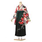 卒業式 袴セットレンタル 148〜153cm 卒業袴レンタル 椿 普通サイズ R1500_E-H055-23-4