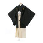 BV-041 церемония окончания hakama в аренду Junior кимоно мужчина свадьба церемония окончания 1/2 день совершеннолетия кимоно в аренду бесплатная доставка мужчина перо тканый hakama ученик начальной школы. серп кама 