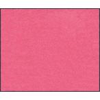マット スタンダードマットS  ピンク 50 × 75 cm [AM00185] クリーンテックス メーカー直送