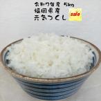 香り良し・甘みよし・食べ応えあり　米 5kg 元気つくし 福岡県産 令和７年産 特A 減農薬  精米 白米 単一原料米 大粒 甘み強し 米専門店 今月の主役米