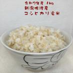 玄米 1kg 新潟産こしひ