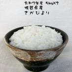 ★人気定着・リピート多し！　米 お米 10kg さがびより (5kg×2)  お米マイスター厳選 佐賀県産 白石産 令和7年産