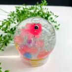 手作り工作 爽やか金魚スノードーム作成キット 20個 / スノードーム 夏 工作