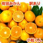 みかん 10kg 訳あり 小玉 送料無料 s 小粒くん 有田みかん 食品 おいしい 和歌山直送 産地直送 こつぶ 和歌山 わけあり ミカン 甘い 糖度 お買い得 ご自宅用
