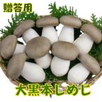  симедзи большой чёрный книга@ симедзи 350g крупный тщательно отобранный .. .книга@simeji Kyoto Tanba столица овощи .... крупный подарок телевизор телевещание .. сельское хозяйство .