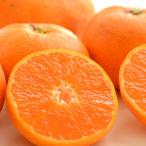  мандарин 5kg есть перевод маленький шар бесплатная доставка маленький шарик kun Arita мандарин фрукты .... Wakayama прямая поставка прямая поставка от производителя mi can ... сделка . дом для 