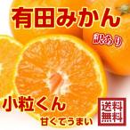 みかん 10kg 送料無料 訳あり 小粒くん 有田みかん 果物 おいしい 小玉 和歌山直送 産地直送 ミカン 甘い お買い得 ご自宅用